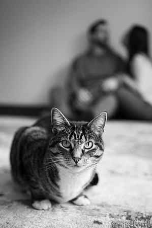 DSC_0490-2
