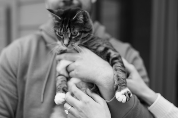 DSC_0399